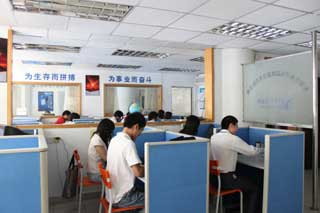 携手共赢 信息技术项目合作与网络推广服务新篇章