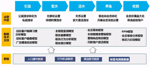 南充网络推广专家解读 私域流量的核心表现形式与高效运营方法论